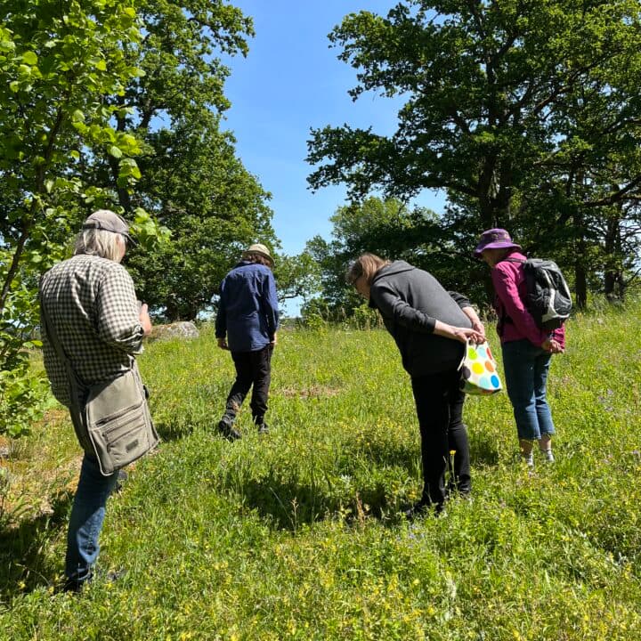 Fotograf Maria Dirke