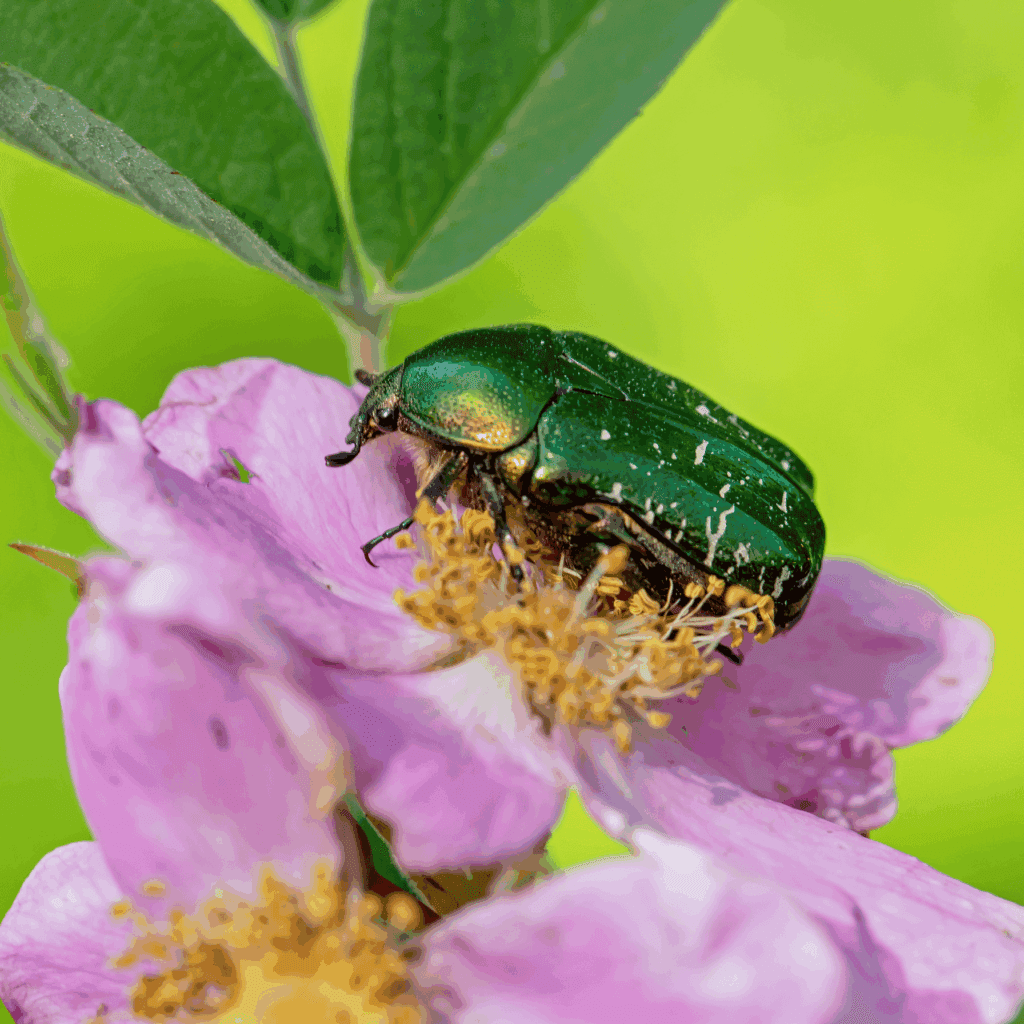 Fotograf Per-Ola Björn