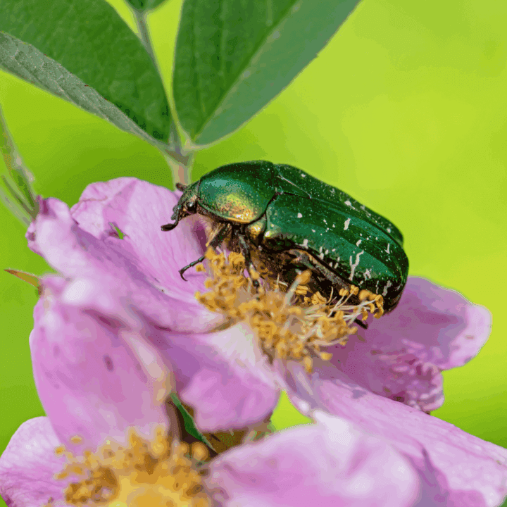 Fotograf Per-Ola Björn